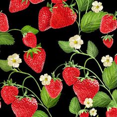 a painting of strawberries and flowers on a black background