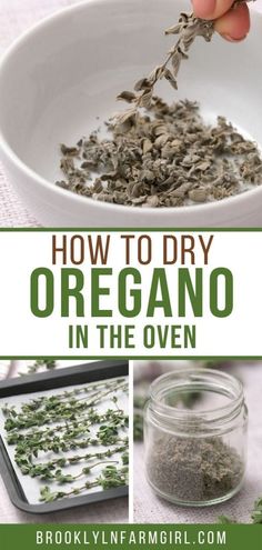 an image of how to dry oregano in the oven with text overlay that reads, how to dry oregano in the oven