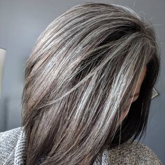 Hard to believe we paid money to cover these silvers up 🤦🤦🤦 never again 🌪️ If you're just starting out - give it time - in the beginning… Give It Time, Hair Highlight, Grey Hair Inspiration, Hair Growing, Gorgeous Hair Color, Hair Due, Blending Gray Hair