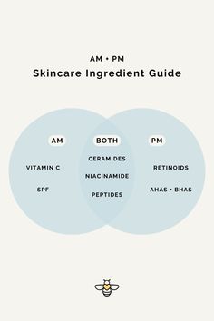 Skincare Chart, Am And Pm Skincare Routine, Serums To Use In The Morning, Pm Routine, Pm Skincare Routine, Am Vs Pm Skincare, Am Pm Skincare Routine, Am And Pm Serum, Skincare Ingredients Guide