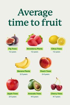 an image of fruits and vegetables with the words average time to fruit written below it