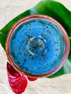 a blue and brown bowl sitting on top of a green leafy plant next to a red flower