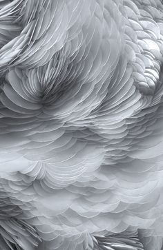 an abstract photograph of the back side of a bird's head, made out of white feathers