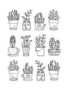 hand drawn potted plants on white background