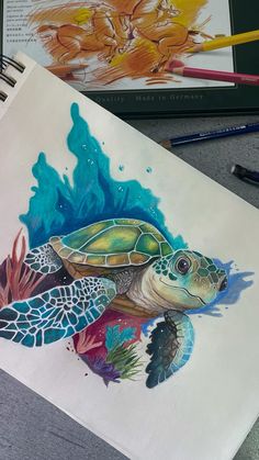 a drawing of a sea turtle with colored pencils next to it