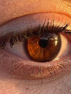 an orange eye with long lashes is seen in this close up photo from the side