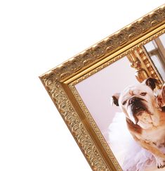 Versailles Gold Framed Picture For Wall Corner Detail Canvas Gallery Wall, Chasing Paper, Picture Frame Gallery, Gold Picture Frame, Gallery Wall Frames, Wood Molding, Wedding Picture Frames, Wall Frames, Gold Picture Frames