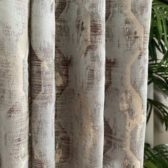 a close up view of a curtain with brown and white designs on the curtains, in front of a potted plant