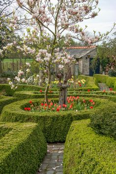 a garden with hedges and flowers in it