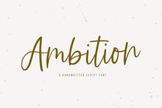 the word ambition written in cursive type