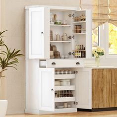 an open cabinet in the corner of a room with a potted plant on it