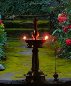 a candle is lit in the middle of a garden