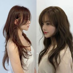 Hershey Haircut Medium, Korean Hush Cut With Bangs, Butterfly Hair With Bangs, Long Hair Wolfcut With Bangs, Will Bangs Suit Me, Asian Wispy Bangs Long Hair, Hime Layer Long Hair, Hime Haircut Long No Bangs, Long Wolf Cut With Wispy Bangs