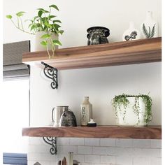 the shelves in the kitchen are filled with potted plants and other decorative items on them