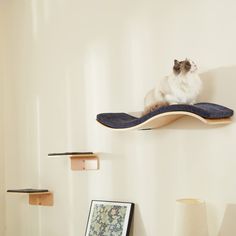 a cat sitting on top of a wooden shelf