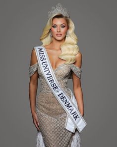 a woman with blonde hair wearing a silver dress and tiara, posing for the camera