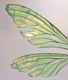 two green and white butterfly wings flying in the sky with water droplets on it's wings