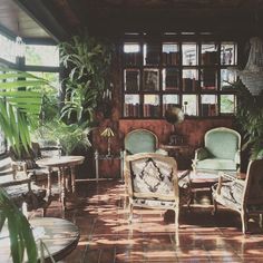 a living room filled with furniture and lots of plants