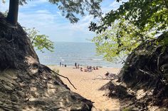 Gather 'round, because I’m sharing a secret: how the Michigan Recreation Passport is your free ticket to discovering the Mitten. It's a game-changer for Sleeping Bear Sand Dunes, Ludington State Park, Michigan State Parks, Passport Pictures, The Mitten, Gather Round, Free Ticket, Outdoor Playground, Get Outdoors