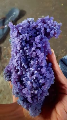 a person holding a purple substance in their hand