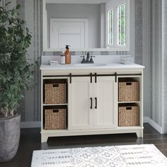 a bathroom vanity with two baskets under the sink and a mirror above it, along with a potted plant