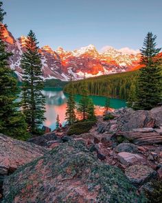 the mountains are covered in snow and pine trees