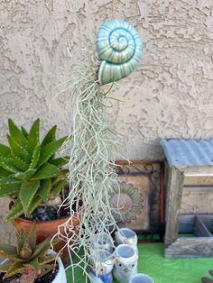 a group of pots with plants growing out of them on a table in front of a stucco wall