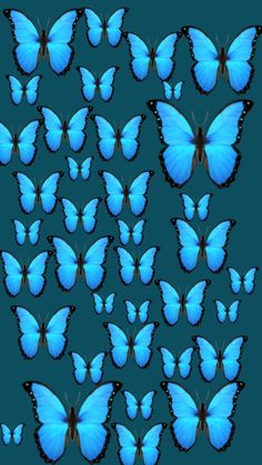 a group of blue butterflies flying in the air with their wings spread out and facing different directions