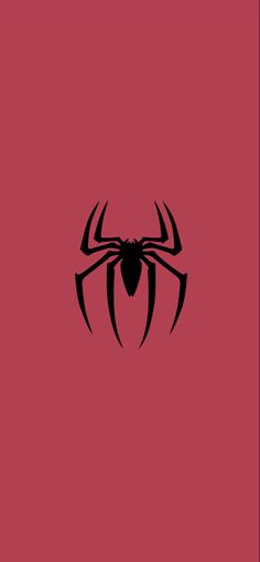 a spider logo on a red background with the word's name in black letters