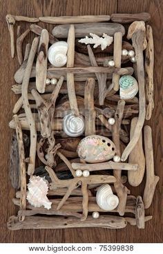 an arrangement of seashells and driftwood in a wooden box on a table