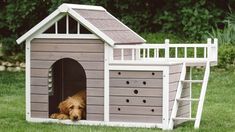 a dog is sitting in his pet house