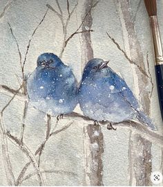 two blue birds sitting on top of a tree branch next to a paintbrush and watercolor