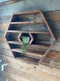 the shelves are made out of wood and have hexagonal shapes on them,