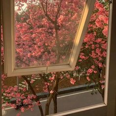 pink flowers are seen through the window in this photo taken from inside an office building