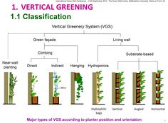 a diagram showing the different types of vertical planting