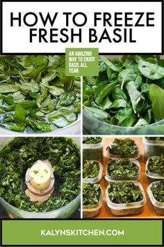 how to freeze fresh basil in an air fryer with instructions for making basil basil