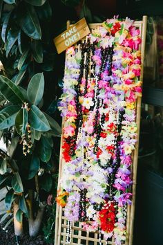 a bunch of flowers that are hanging on a wall in front of a planter