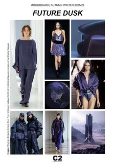 2025 2026 Fashion Trends: WGSN and Coloro Reveal the Key Colors for the Autumn Winter Season - C2 Fashion Studio Future Dusk, Victor Hugo