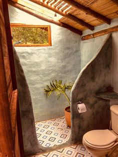 a bathroom with a toilet next to a window and a plant in a pot on the floor