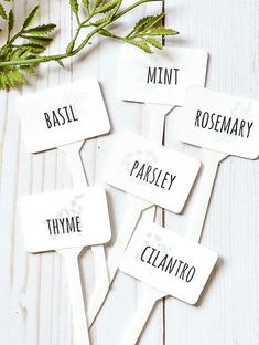 four white wooden signs with different words on them sitting next to some flowers and leaves