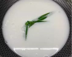 a white plate topped with milk and a green flower