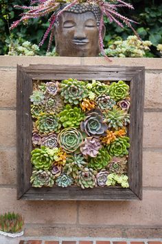 succulents are arranged in a wooden frame next to a brick wall with a buddha head