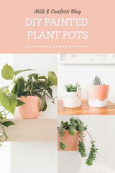 some potted plants on a shelf with the words milk and concrete blog diy painted plant pots