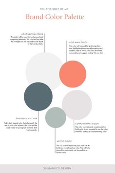 the anatomy of my brand color palette