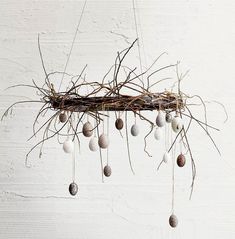 a bird nest with eggs hanging from it