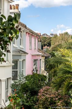 some pink and white buildings trees and bushes