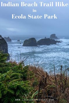 Here's where to find the best views of the Oregon Coast on a hike. The Indian Beach Trail in Ecola State Park leads you through lush forest and offers stunning views of sea stacks soaring out of the Pacific Ocean! Oregon Beaches, Lush Forest, The Pacific Ocean, Best Hikes, Day Hike, Oregon Coast