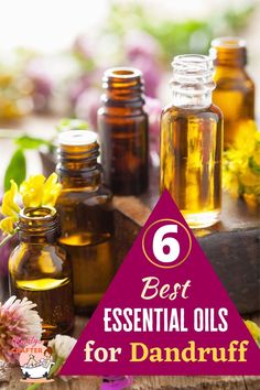 Best Essential Oils for Dandruff Essential Oils For Dandruff, Hair Oil For Dandruff, Dandruff Essential Oil, Natural Dandruff Remedy, Treat Dandruff, Hair Oil Recipe, Diy Hair Oil, Home Remedies For Dandruff, Oils For Dandruff