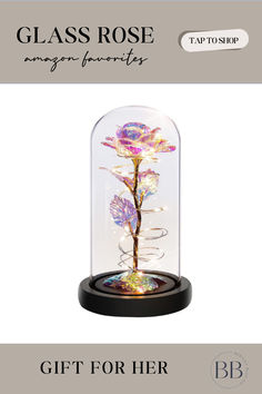 Looking for the perfect gift for her under $50? This is a great birthday gift for women, girlfriend christmas gift, hoysewarming gift, romantic gift for valentines day to give your girlfriend, wife, or friend that has an elegant and minimalist aesthetic. Rose In A Glass Dome, Rose In A Glass, Womens Gifts, Christmas Colorful, Valentines Wedding, Xmas Gifts For Her, Rainbow Flower, Gifts For Christmas