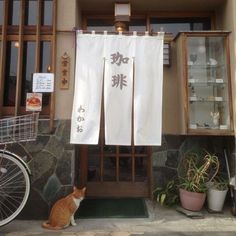 an orange and white cat sitting in front of a building with two chinese characters on it